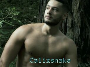 Calixsnake