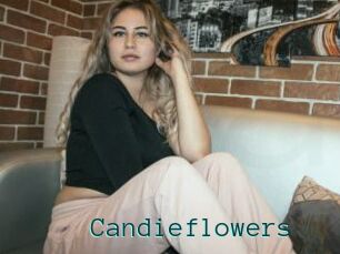 Candieflowers