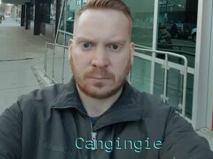 Cangingie