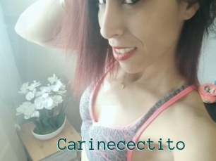 Carinecectito