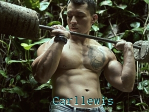 Carllewis