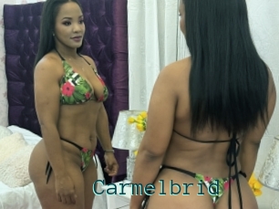 Carmelbrid