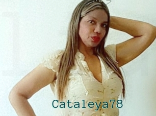 Cataleya78