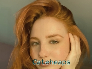 Cateheaps