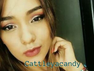 Cattleyacandy