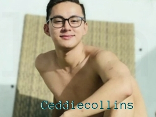 Ceddiecollins
