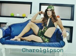 Charolgipson