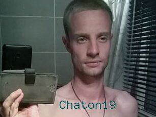 Chaton19