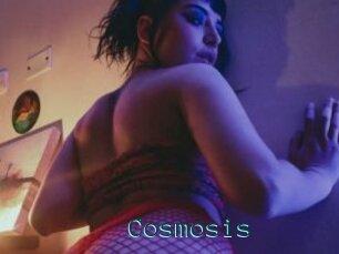 Cosmosis