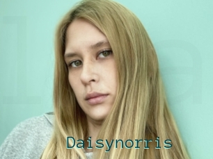 Daisynorris