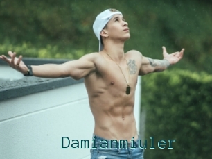 Damianmiuler