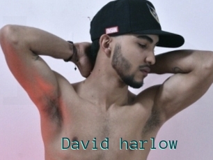 David_harlow