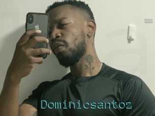 Dominicsantoz