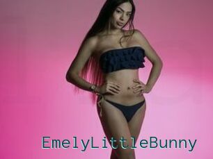 EmelyLittleBunny