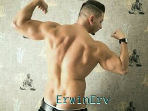 ErwinErv