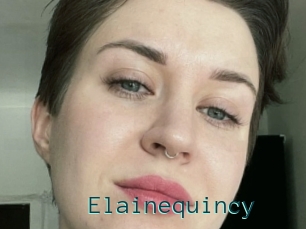 Elainequincy