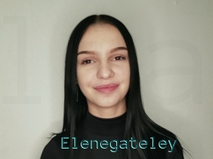 Elenegateley