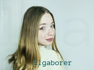 Elgaborer