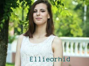 Ellieorhid