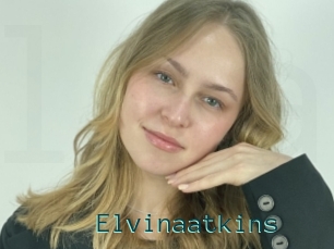 Elvinaatkins
