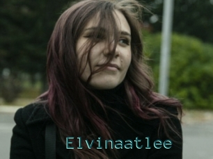 Elvinaatlee