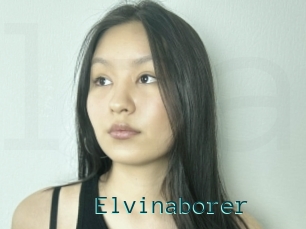 Elvinaborer
