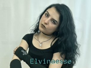 Elvinaesse