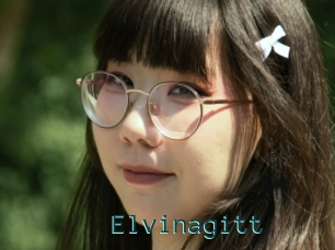 Elvinagitt