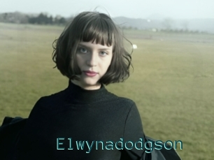 Elwynadodgson