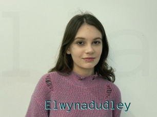 Elwynadudley