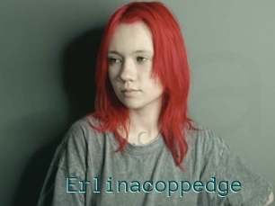 Erlinacoppedge