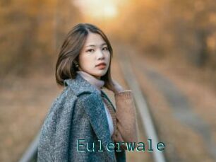 Eulerwale