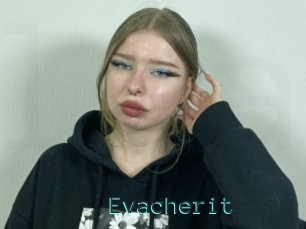 Evacherit