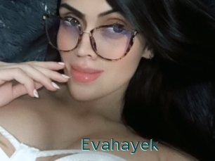 Evahayek