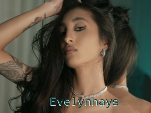 Evelynhays