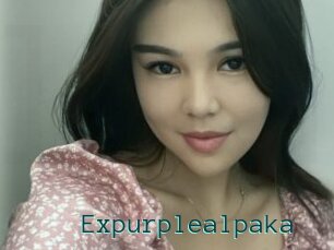Expurplealpaka