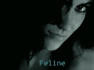 Feline