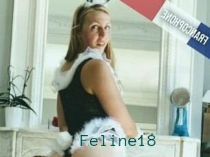 Feline18