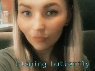 Flaming_butterfly