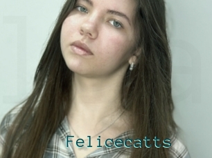 Felicecatts