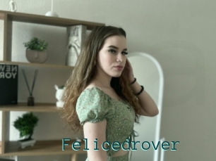 Felicedrover