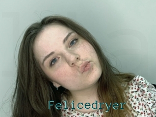 Felicedryer