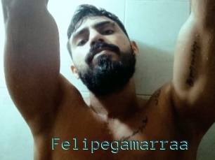 Felipegamarraa