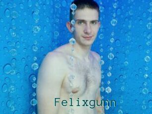 Felixgunn