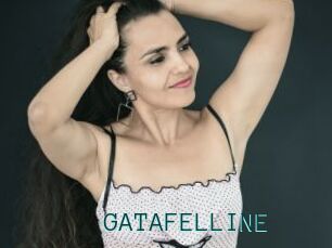 GATAFELLINE