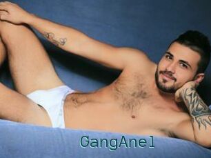 GangAnel