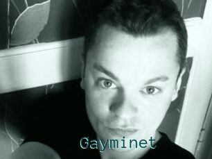 Gayminet