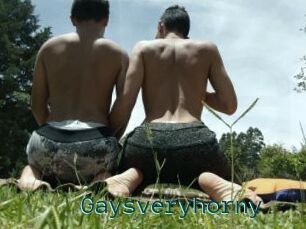 Gaysveryhorny