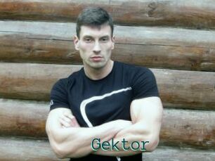 Gektor
