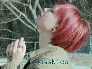 GessNice